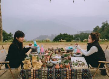 Tặng sen đá khi check in Tour cắm trại Cloud 9 Glamping